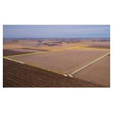 Tract 1  81 Acres