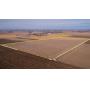 Tract 1  81 Acres