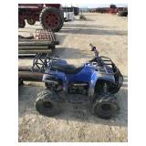 Youth 4 wheeler