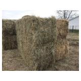 Large square 3X3X7 Grass Hay