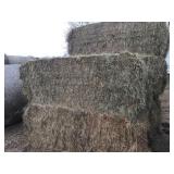 Large square 3X3X7 Grass Hay