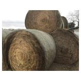 Large Rounds of Grass Hay