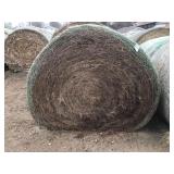 Net wrapped Grass Bales