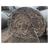 5 Bales Net Wrapped Corn Stalks