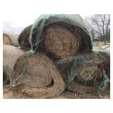 2 Year old Grinder Hay Alfalfa