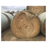 4 Bales Grass Hay