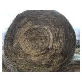 Netwrapped Grass Bales