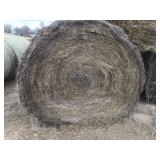 Netwrapped Grass Bales