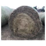 Netwrapped Grass Bales