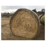 Coarse Grass