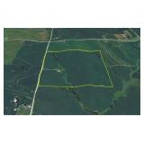 160 ACRES TILLABLE FARMLAND AUCTION MONONA CNTY IOWA