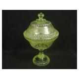 10 ½” Tall EAPG Wildflower Covered Compote –