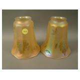 (2) NuArt Interior Panels Shades w/ Etched Grape