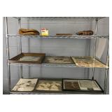 Vintage Baseball Memorabilia