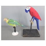 Parrot Figure And Taxidermied Parakeet