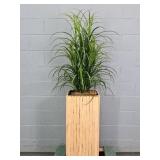 Natural Wood Paint Stand W/faux Plant In Poly Pot