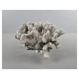 Sterling Ind Coral On Acrylic Sculpture