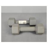 2x The Bid 10 Lb Cap Hex Weights