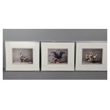 3x The Bid Botanical Art Photos Framed