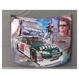 Nascar 2008 Sale Earnhardt Jr #88 Metal Hood