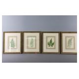 Lot Of 4 Botanical Lithographs