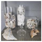 Decorative Seashell Lot