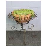 Live Plant In Lg Terracotta Planter
