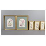 5x The Bid Framed Hummingbird Prints