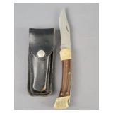Folding Buck 110 Knife W/ Carry Case