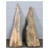 2x The Bid 26" & 28" Natural Drift Cypress Knees