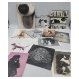 Vintage Dog Puppy Art Postcards