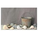 Assortment Of Seashells W/ Galvanized Pail