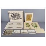 Collection Of Art & Postcards