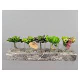 Branch & Blossom Decorative Home Succulents
