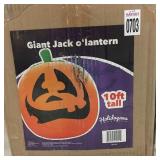 GIANT  JACK O