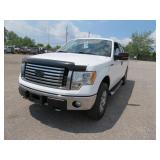 2010 FORD F150 236048 KMS