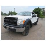 2010 FORD F150 255445 KMS