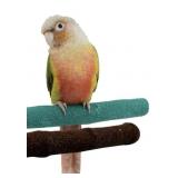 PARROT PERCH 10 INCH