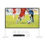 OSOERIPORTABLE PROJECTOR SCREEN 270CM X 220CM