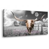 ZEYDRT HIGHLAND COW WALL ART 20X40 INCH