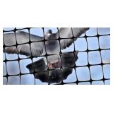 STRUCTURAL BIRD NET200 X 14 FT.