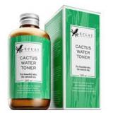Eclat Cactus Toner 6.7 FL OZ Best Used By 1/2/2025
