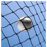 BASEBALL NET 10FT X 10FT