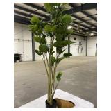 ARALIA BALFOUR ARTIFICIAL PLANT 5.2 FT ARALIA BALFOUR ARTIFICIAL PLANT 5.2 FT