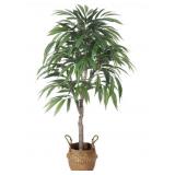 OAKRED, ARTIFICIAL SLIM MANGO TREE4 FT. OAKRED, ARTIFICIAL SLIM MANGO TREE4 FT.