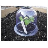 MINI PLASTIC GREENHOUSE DOMES 8 x6IN 30PCS MINI PLASTIC GREENHOUSE DOMES 8 x6IN 30PCS