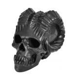 MYARDFIRE PIT SKULL FIREPROOF 8IN X 9IN MYARDFIRE PIT SKULL FIREPROOF 8IN X 9IN