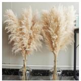 40 IN PAMPAS GRASS