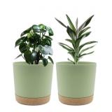 GREEN WITH BROWN BOTTOM PLANTERS 11INCHES