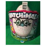 HATCHIMALS WHO WILL YOU HATCH